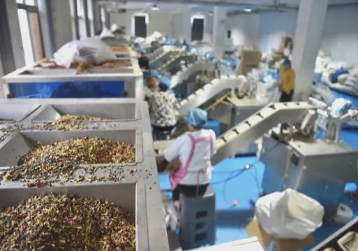 保护「新质供给」引领产业升级OG视讯拼多多加码商家权益(图1)
