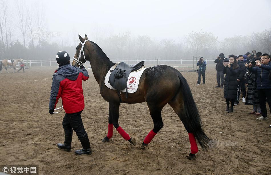 敢挑战极限展现无畏精神与力量的推荐与OG真人早报刘玥大战28公分黑人勇(图2)